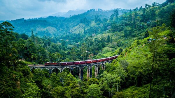 Reis mee naar Roemenië en Sri Lanka – Zomerserie